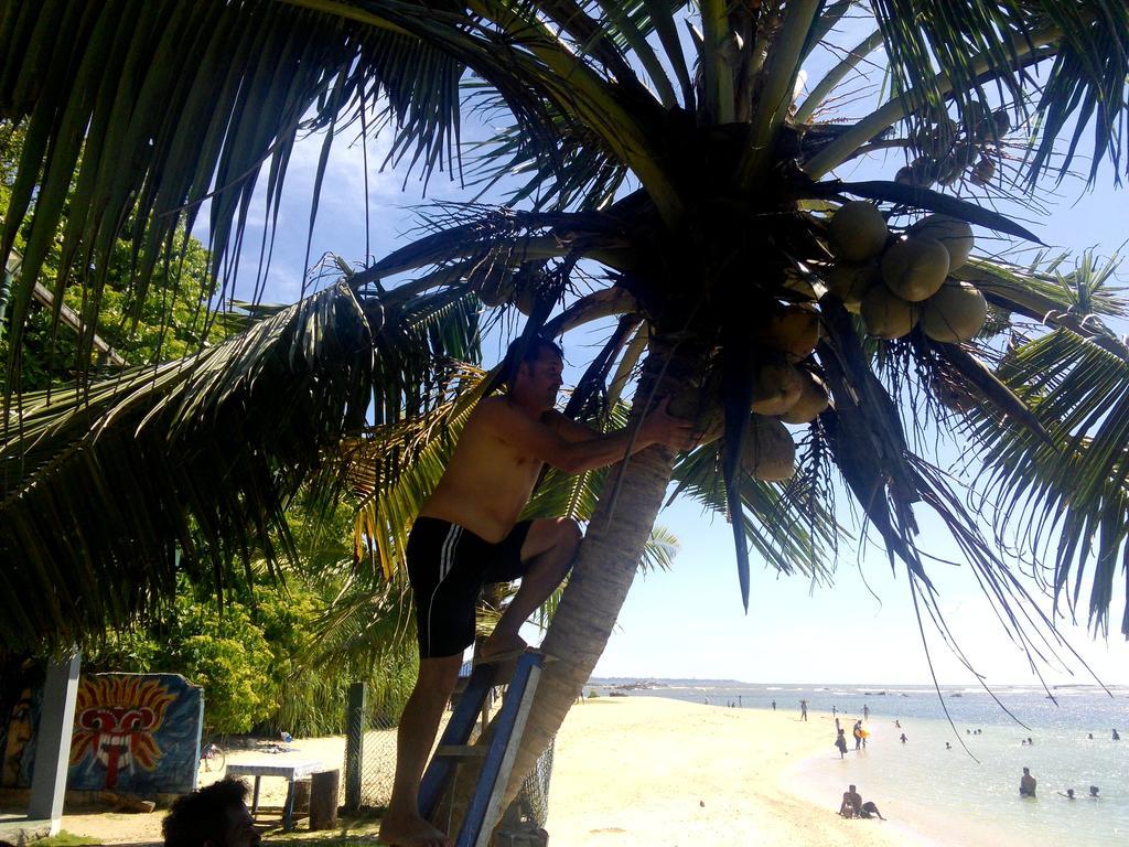 Sayuri Beach Hotel ماتارا المظهر الخارجي الصورة