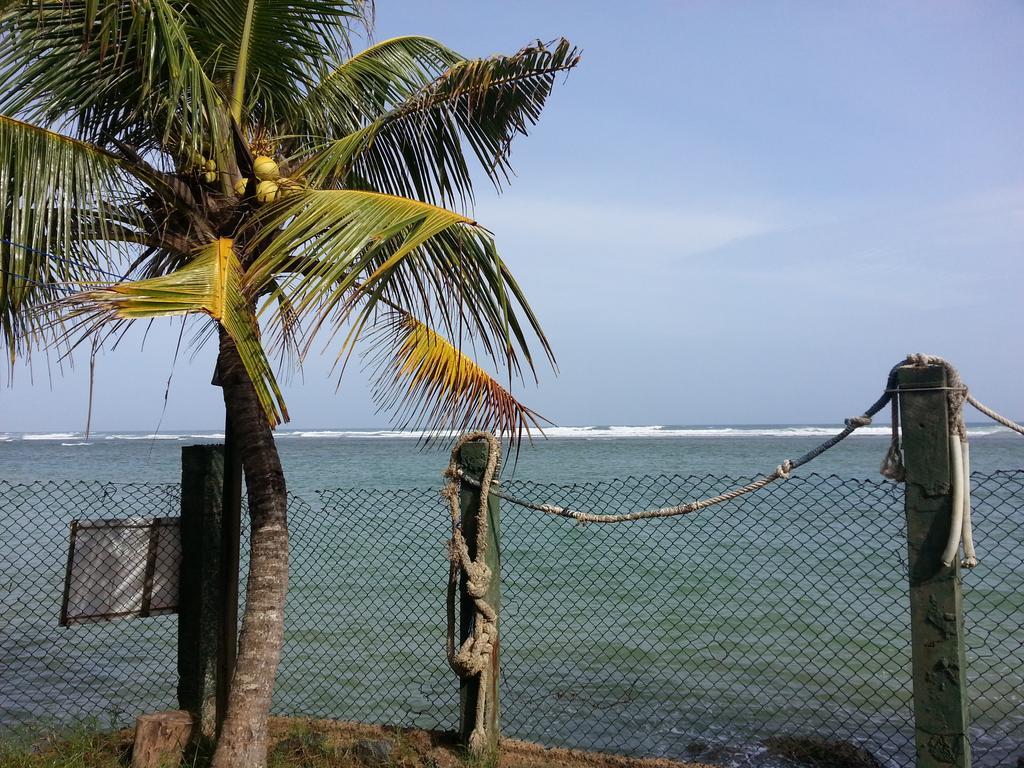 Sayuri Beach Hotel ماتارا المظهر الخارجي الصورة