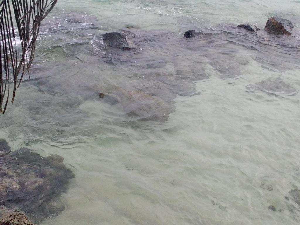 Sayuri Beach Hotel ماتارا المظهر الخارجي الصورة