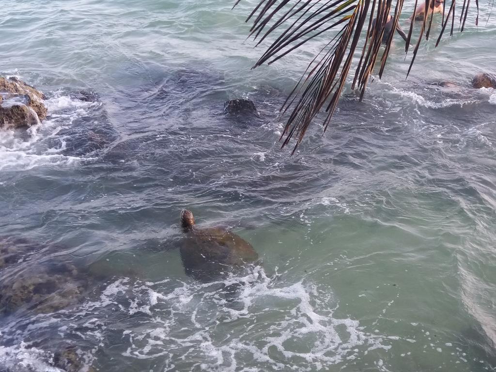 Sayuri Beach Hotel ماتارا المظهر الخارجي الصورة